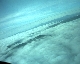 sea_of_clouds
